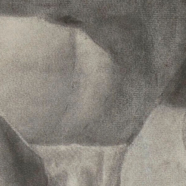 Belvedere torso - Detail