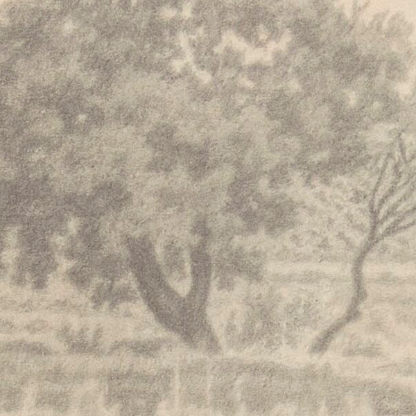 Two trees against the light - Detail