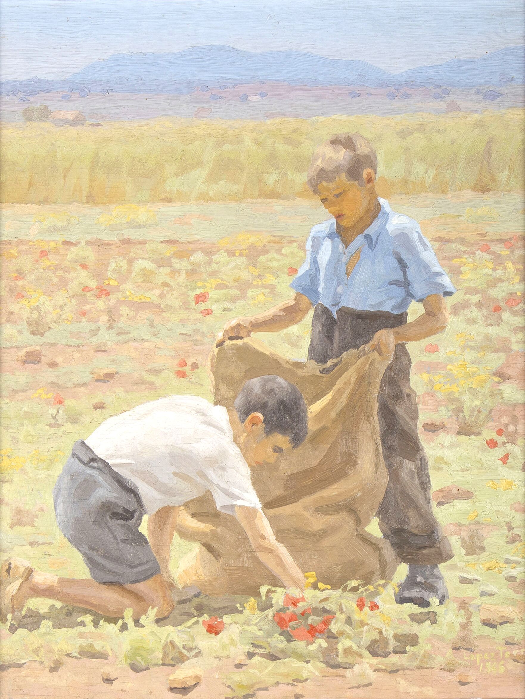 Boys collecting grass