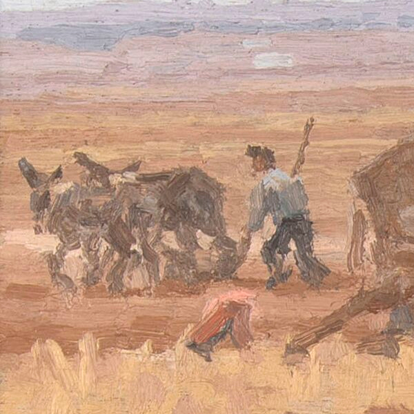 Homme en train de labourer avec deux ânes - Détail