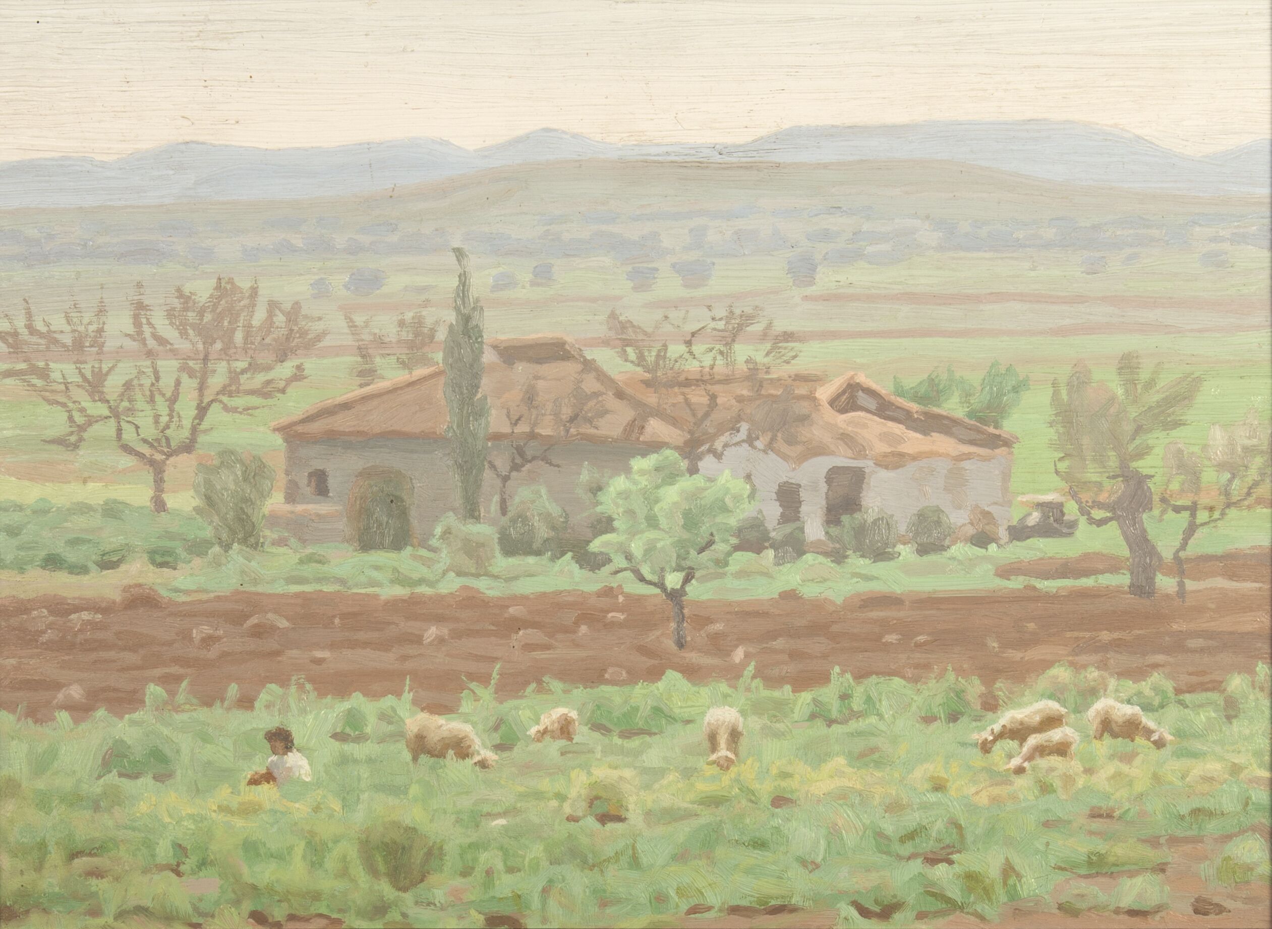 Landscape of Ciudad Real with sheep and a boy