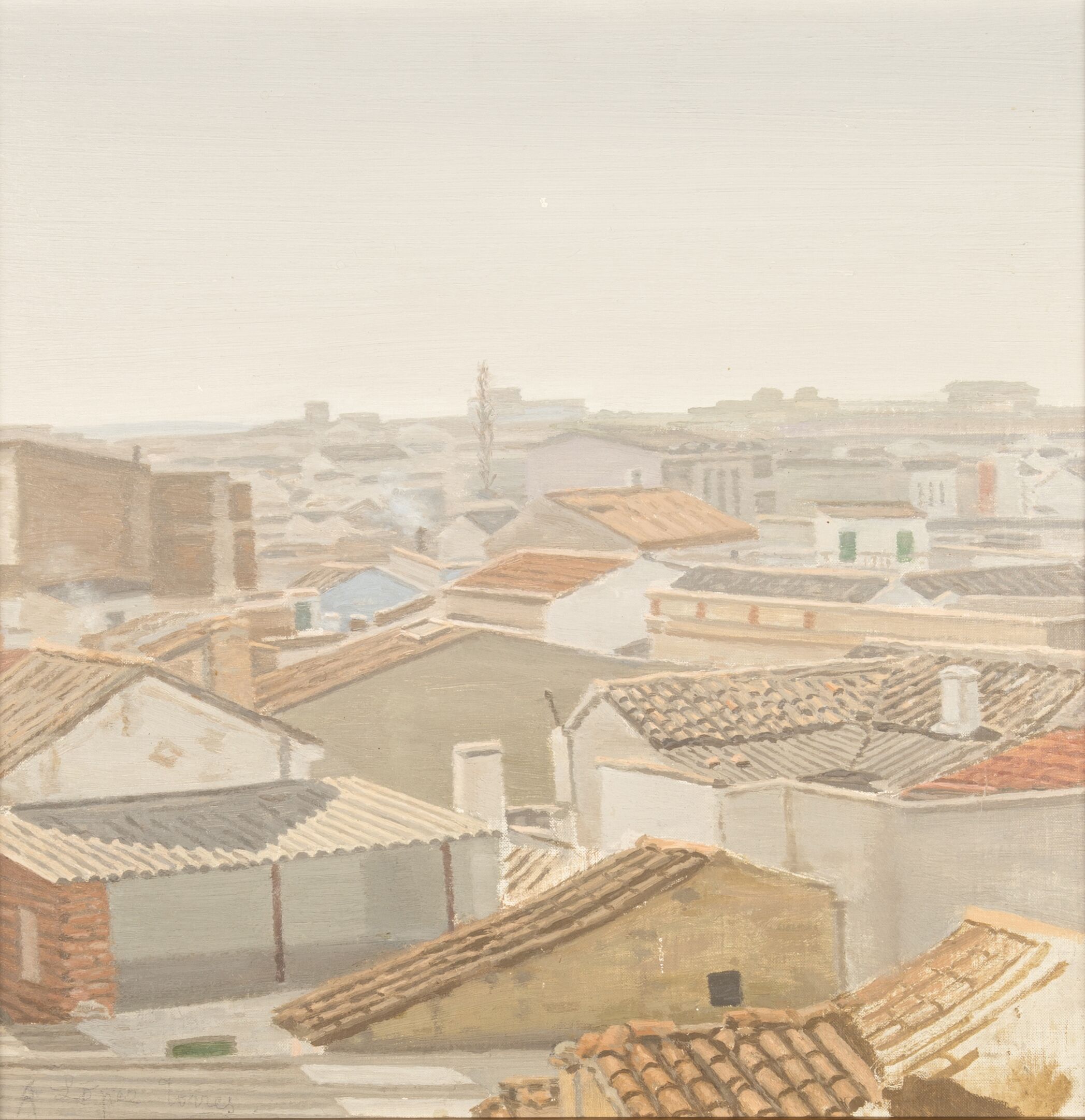 Urban panoramic view of Tomelloso